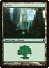 87-forest.jpg