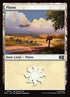 873-plains