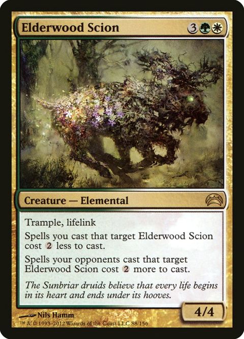 88-elderwoodscion.jpg
