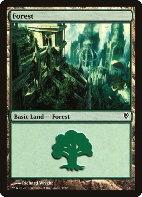 88-forest.jpg