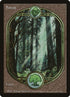88-forest.jpg