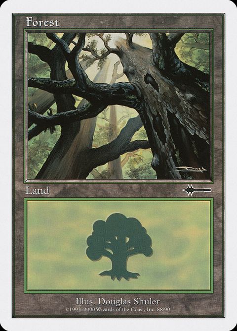 88-forest.jpg