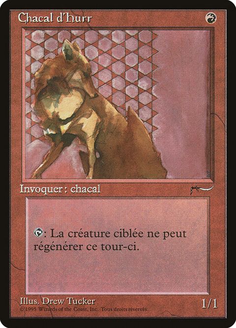 88-hurrjackal.jpg