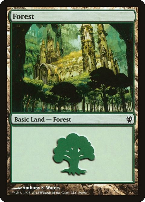 89-forest.jpg