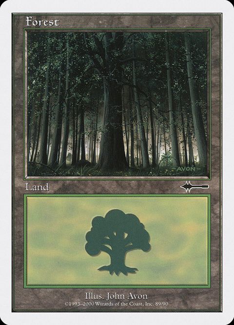 89-forest.jpg