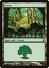 89-forest.jpg