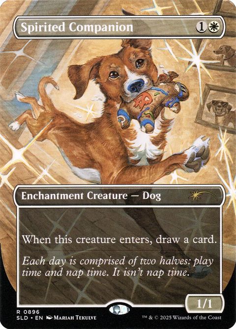 896-spiritedcompanion