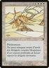 9-elderlandwurm.jpg