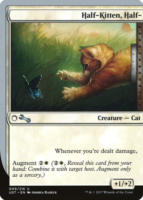 9-halfkittenhalf.jpg