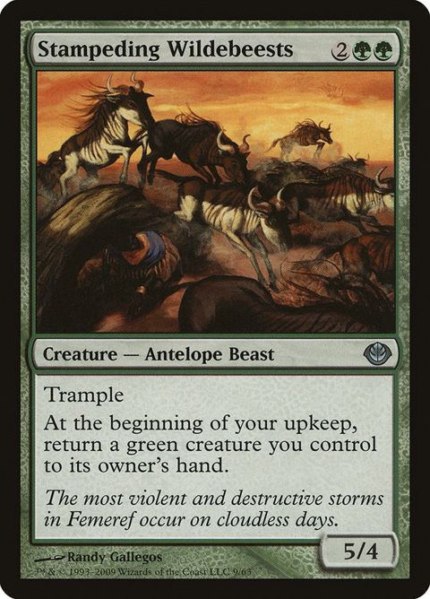 9-stampedingwildebeests.jpg