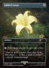 909-gildedlotus
