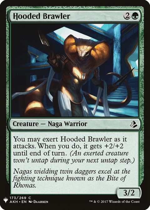 akh-173-hoodedbrawler.jpg
