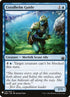 bbd-116-coralhelmguide.jpg