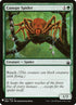bbd-191-canopyspider.jpg
