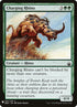 bbd-192-chargingrhino.jpg