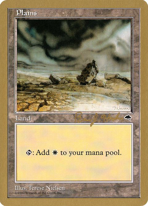 bh331-plains.jpg