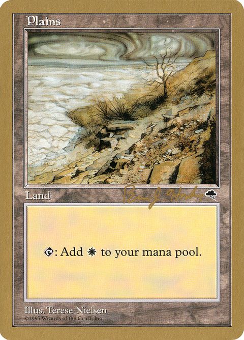 bh332-plains.jpg