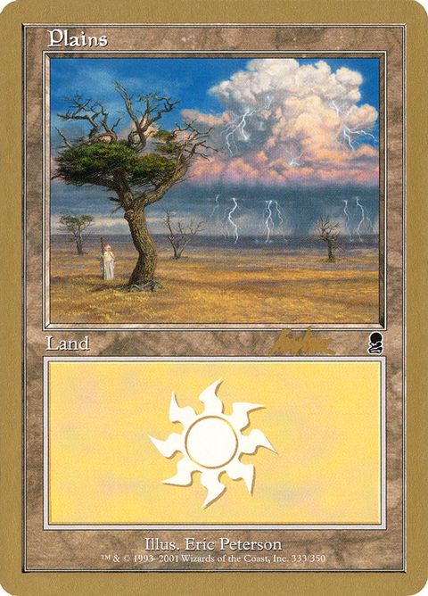 bk333-plains.jpg