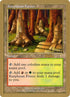 bk336-karplusanforest.jpg