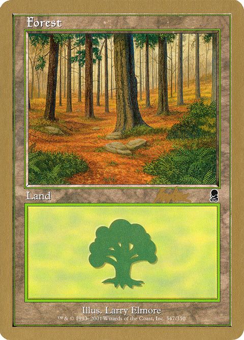 bk347-forest.jpg