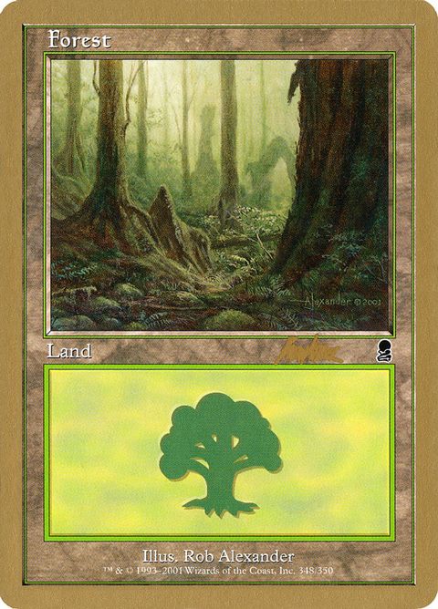 bk348-forest.jpg