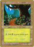 bl376-forest.jpg