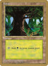 bl377-forest.jpg