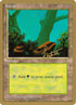 bl378-forest.jpg