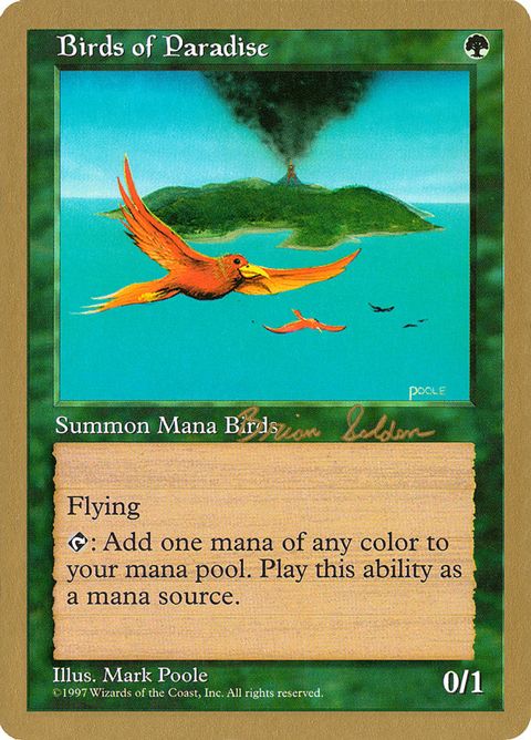 bs280-birdsofparadise.jpg