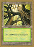 bs347-forest.jpg