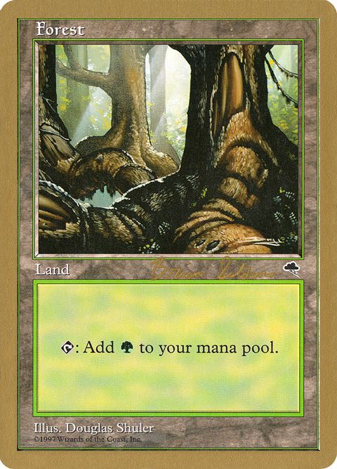bs348-forest.jpg