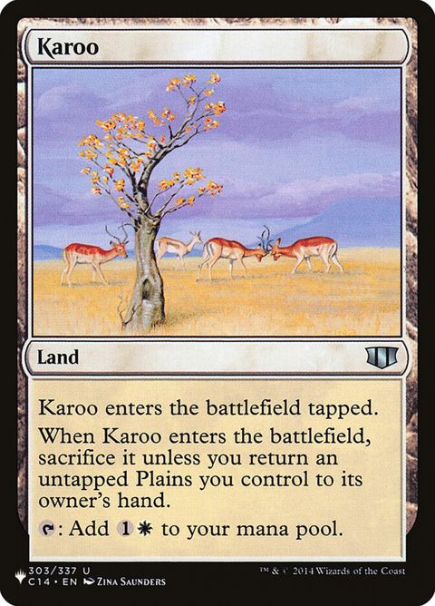 c14-303-karoo.jpg