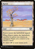 c14-303-karoo.jpg