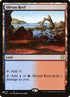 c21-316-shivanreef.jpg