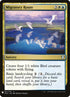 cm2-161-migratoryroute.jpg