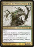 cmd-227-skullbriarthewalkinggrave.jpg