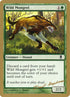 dh283-wildmongrel.jpg