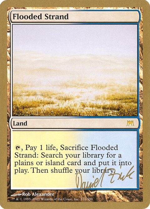 dz316-floodedstrand.jpg