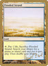 dz316-floodedstrand.jpg