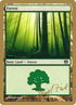 dz348-forest.jpg