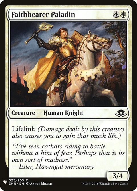 emn-25-faithbearerpaladin.jpg