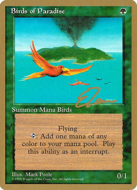 et234-birdsofparadise.jpg