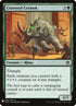 ima-158-crownedceratok.jpg