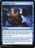 ima-76-thoughtscour.jpg