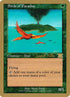 jk217-birdsofparadise