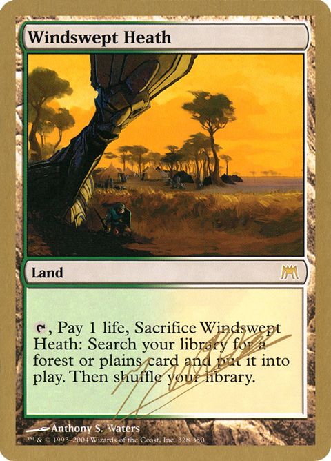 jn328-windsweptheath.jpg