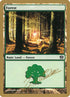 jn347-forest.jpg