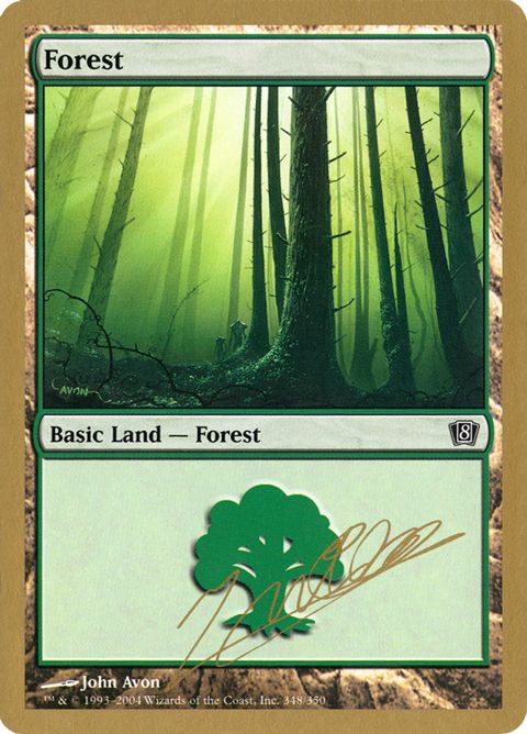 jn348-forest.jpg