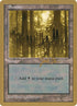 js438-swamp.jpg