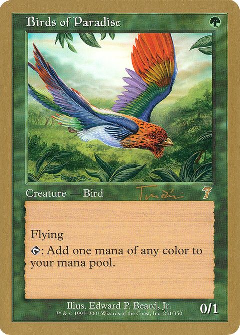 jt231-birdsofparadise.jpg